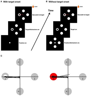 Rapid Processing of a Global Feature in the ON Visual Pathways of Behaving Monkeys